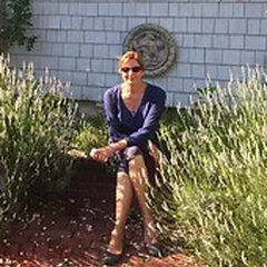 Garden Vignettes