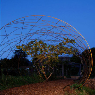 Edible Nest