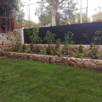 Aspecto tras la plantación