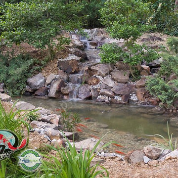 KOI Pond, Backyard Pond & Small Pond Ideas for your Kentucky Landscape