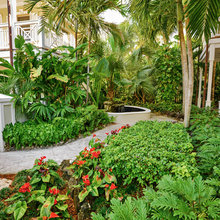 Water Feature