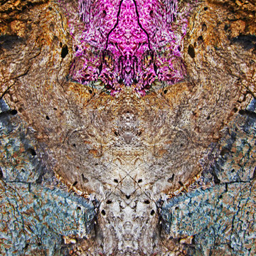 Artwork / Color Consultation Montgomery Residence