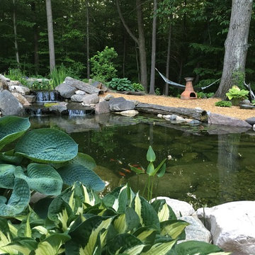 Back yard Oasis