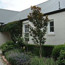 Landscape Ideas