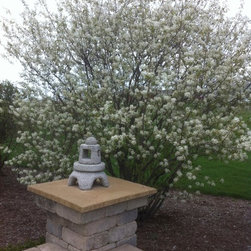 Misc. Trees - Products