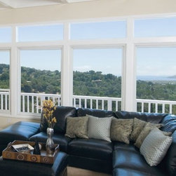 Picture Windows - Windows