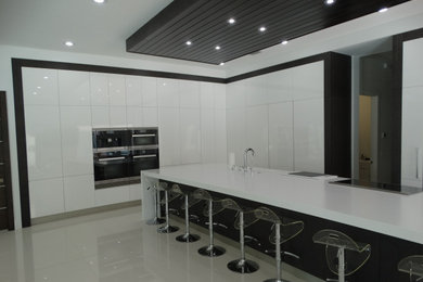 Example of a minimalist kitchen design in Tampa