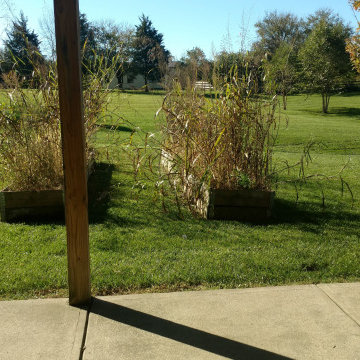 Country Pool Project