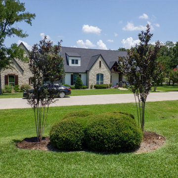 Flowering Trees & Shrubs