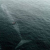 Jason Tedstone's photo
