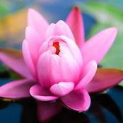 Ruth Farrow's photo