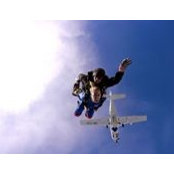 Laura Ferguson's photo