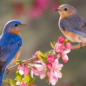 Nancy Hanley's photo