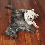 Sally Chambers's photo