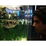 Francisco Martínez's photo