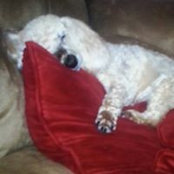 Tracy Kirkpatrick's photo