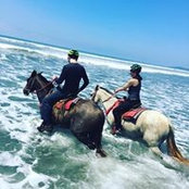 Jill Sivo's photo