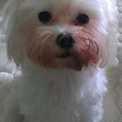 Angie Huang's photo