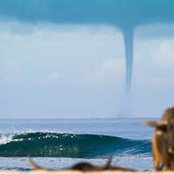 Joel Lewn's photo