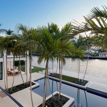 Warm Modern in Boca Raton