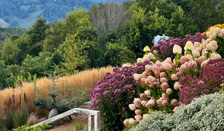Yard of the Week: Mountaintop Garden Bursting With Color