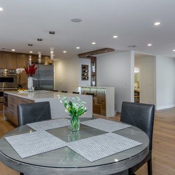 Contemporary home remodeling