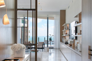 Inspiration for a contemporary entryway remodel in Miami