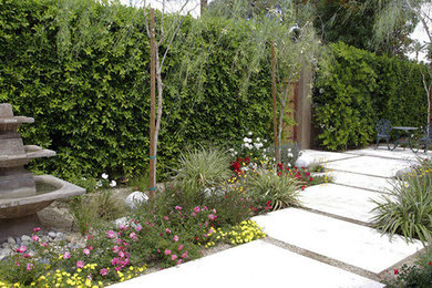 Design ideas for a landscaping in San Diego.