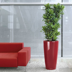 Modern Planter - Products