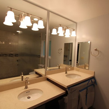 Moraga In Law Suite (Master Bathroom) - In progress