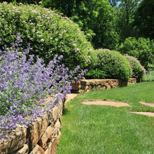 Landscape Ideas