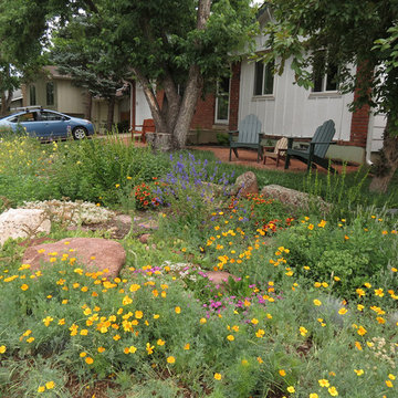 O'Brien's in Bloom