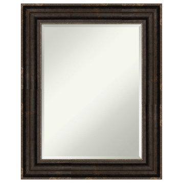 Stately Bronze Beveled Wall Mirror 24.25 x 30.25 in.