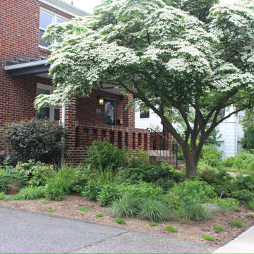 Front Yard Transformation