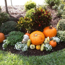 5 Great Yard Designs for Your Home This Fall