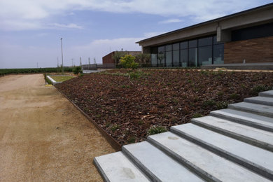 Bodegas Beronia Rueda