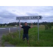 Nick Pestell's photo