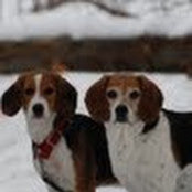 Trevor Vienneau's photo