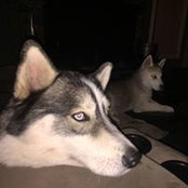 Melody Halterman's photo