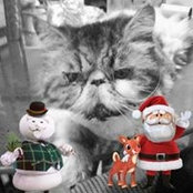 Dayna Coulter's photo
