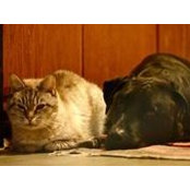 Vanessa Tortolano's photo
