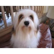 Shannon Koehler's photo