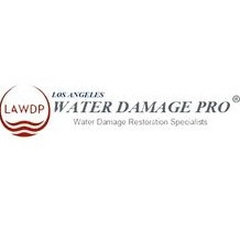 Water Damage Restoration Pro