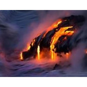 Thomas Curley's photo