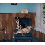 Nancy Finnegan's photo