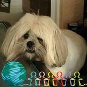 Foto von Albert Maynard