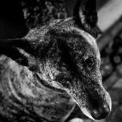 Shane LaVigne's photo
