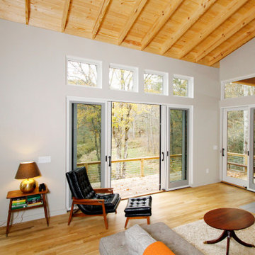 Modern Cabin