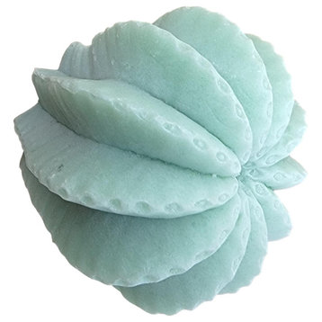 Round Mint Green Succulent Cactus 2 in Wall Hook Organic Shape Outdoor Safe