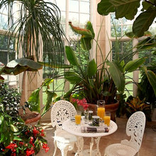 plants